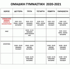 ΠΡΟΓΡΑΜΜΑ ΟΜΑΔΙΚΗΣ ΓΥΜΝΑΣΤΙΚΗΣ 2020-2021